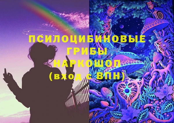 бошки Аркадак