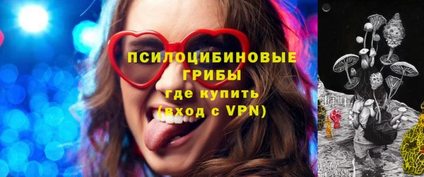бошки Аркадак