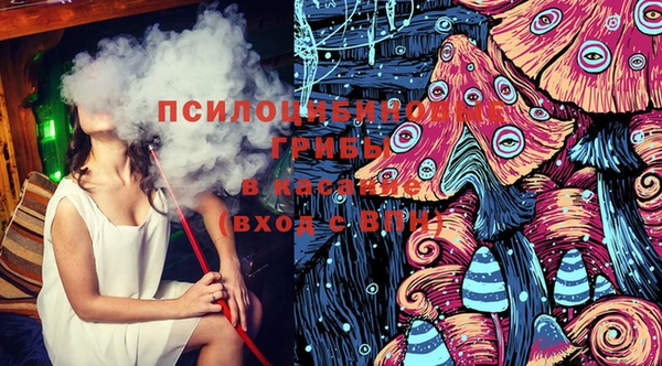 бошки Аркадак